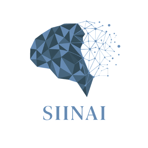 SIINAI, a low-poly brain